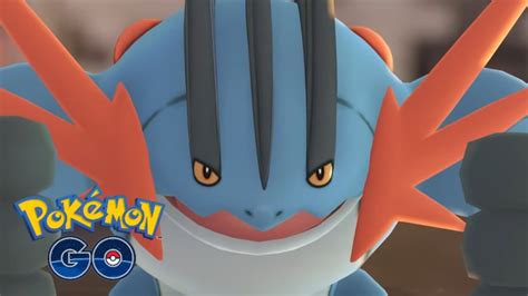 swampert egg group|mega swampert weakness.